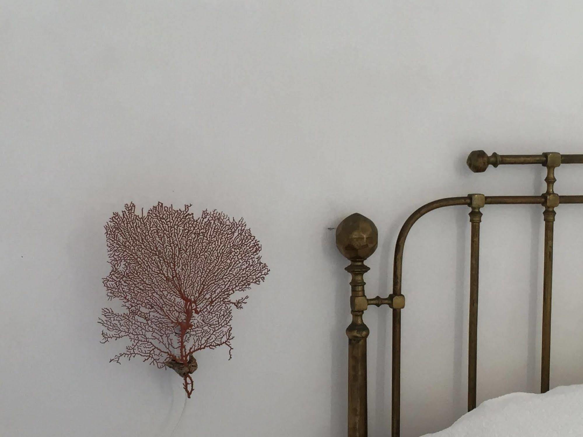 Casa Falco Della Regina Pecorini ภายนอก รูปภาพ